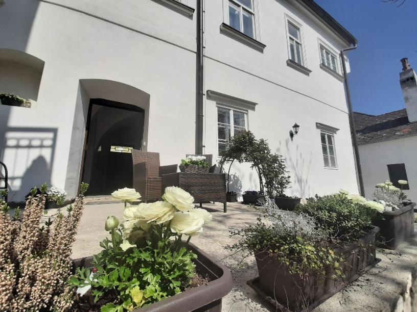 Apartmany Vienna 米库洛夫 外观 照片